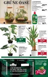 Dehner Flugblatt woche 15 Seite 18