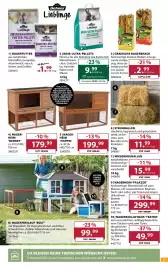 Dehner Flugblatt woche 15 Seite 15