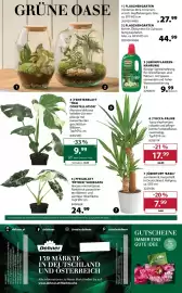 Dehner Flugblatt woche 15 Seite 18