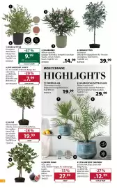 Dehner Flugblatt woche 15 Seite 6