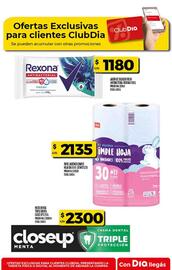 Folleto Supermercados DIA semana 15 Página 32