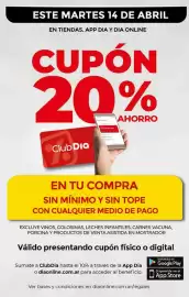 Folleto Supermercados DIA semana 15 Página 13