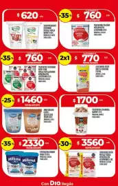 Folleto Supermercados DIA semana 15 Página 15