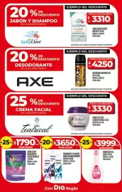 Folleto Supermercados DIA semana 15 Página 24