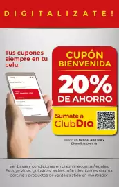 Folleto Supermercados DIA semana 15 Página 27