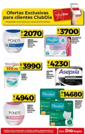 Folleto Supermercados DIA semana 15 Página 30