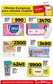 Folleto Supermercados DIA semana 15 Página 31