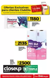 Folleto Supermercados DIA semana 15 Página 32