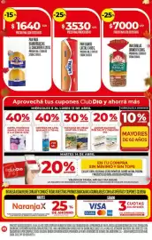 Folleto Supermercados DIA semana 15 Página 4