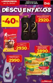Folleto Supermercados DIA semana 15 Página 7