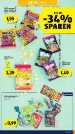 Hofer Flugblatt Seite 11