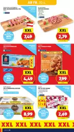 Hofer Flugblatt Seite 12