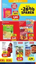 Hofer Flugblatt Seite 13