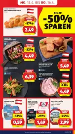 Hofer Flugblatt Seite 15