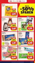 Hofer Flugblatt Seite 17