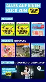 Hofer Flugblatt Seite 2