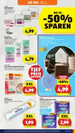 Hofer Flugblatt Seite 21