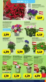 Hofer Flugblatt Seite 29