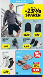 Hofer Flugblatt Seite 33