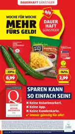 Hofer Flugblatt Seite 36