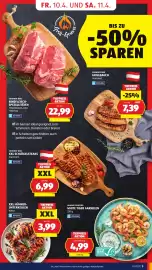 Hofer Flugblatt Seite 7