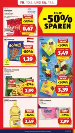 Hofer Flugblatt Seite 9