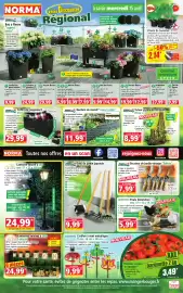 Catalogue Norma semaine 16 page 1
