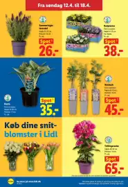 Lidl tilbudsavis uge 16 Side 31