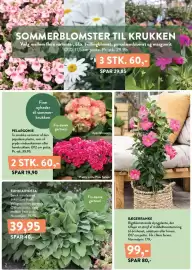 Plantorama tilbudsavis Side 2