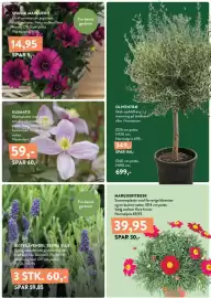 Plantorama tilbudsavis Side 3