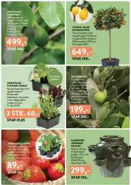 Plantorama tilbudsavis Side 4