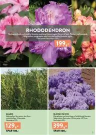 Plantorama tilbudsavis Side 5