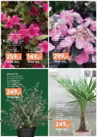 Plantorama tilbudsavis Side 6