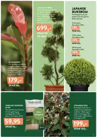 Plantorama tilbudsavis Side 7