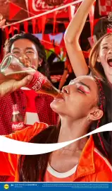 Catalog Lidl săptămâna 16 Pagină 24