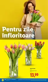 Catalog Lidl săptămâna 16 Pagină 46