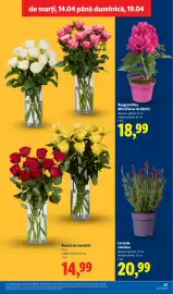 Catalog Lidl săptămâna 16 Pagină 47