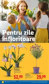 Catalog Lidl săptămâna 16 Pagină 48
