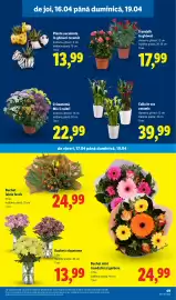Catalog Lidl săptămâna 16 Pagină 49