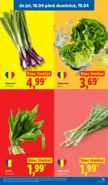 Catalog Lidl săptămâna 16 Pagină 55