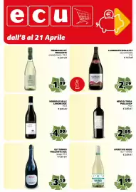Volantino Ecu Discount Pagina 13