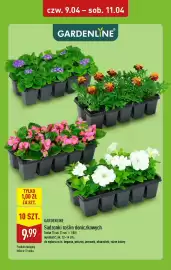 ALDI gazetka Strona 8