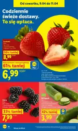 Lidl gazetka Strona 28