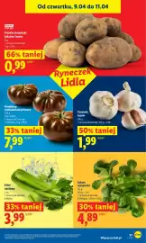 Lidl gazetka Strona 29