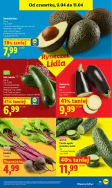 Lidl gazetka Strona 31