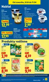 Lidl gazetka Strona 41