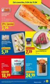 Lidl gazetka Strona 43