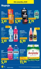 Lidl gazetka Strona 46