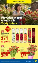 Lidl gazetka Strona 65