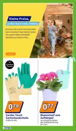 Action Flugblatt woche 15 Seite 17